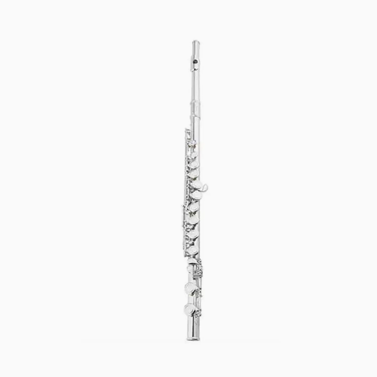 Flauto Traverso Professionale Per Principianti Placcato Argento A 16 Fori Flauto Standard