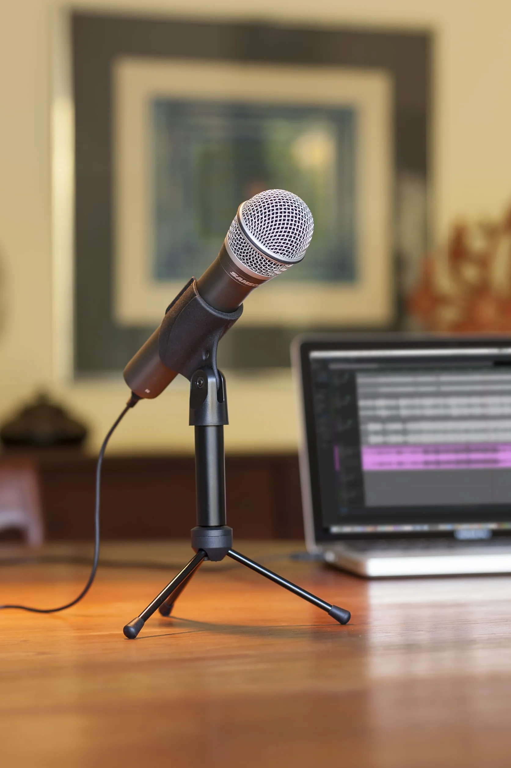 Samson SAQ2U Microfono dinamico plamare USB/XLR, Grigio