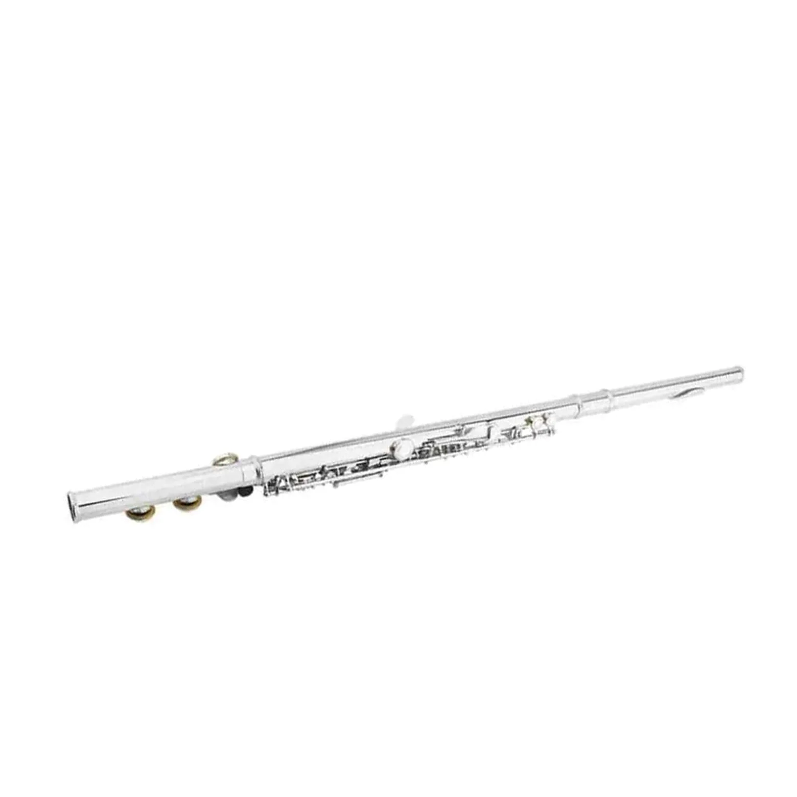 Flauto Traverso Professionale Per Principianti Placcato Argento A 16 Fori Flauto Standard