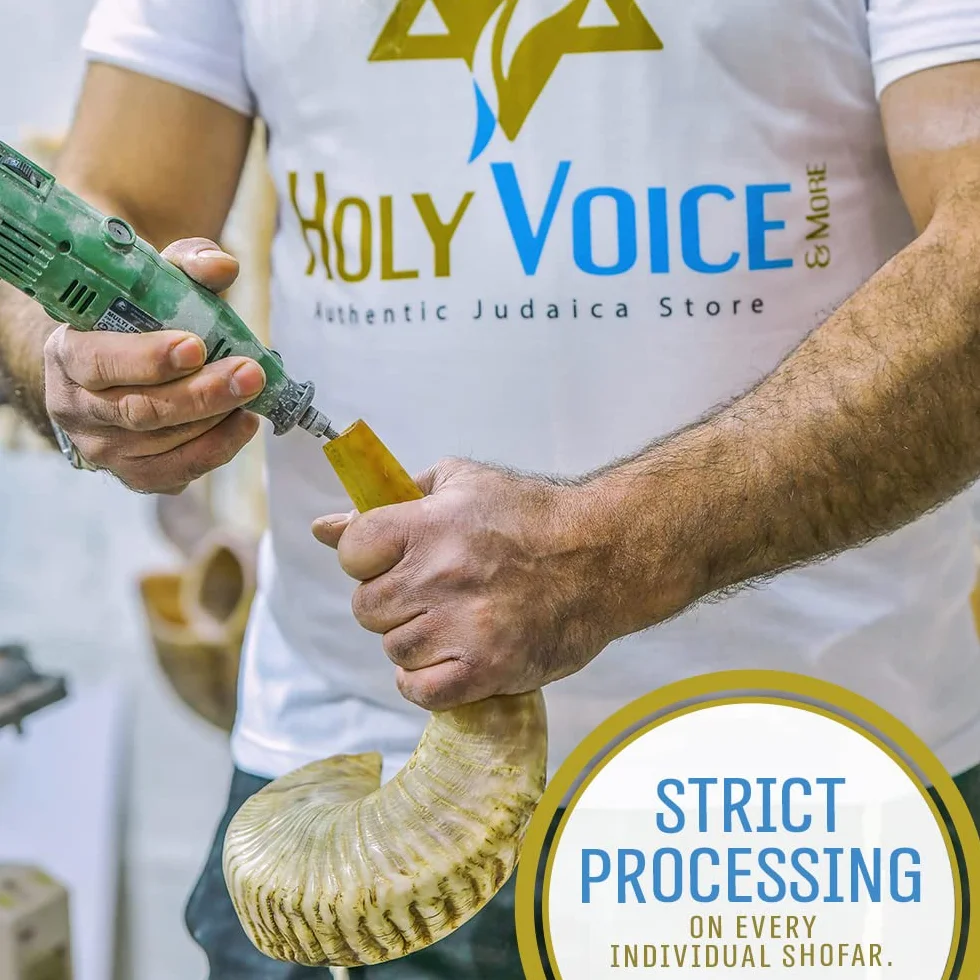 Holy Voice Kosher, corno Shofar di ariete proveniente da Israele, 30,5-35,6 cm, tradizionale mezzo lucido, strumento musicale ebraico antico della Terra Santa, bocchino liscio per un facile soffiaggio