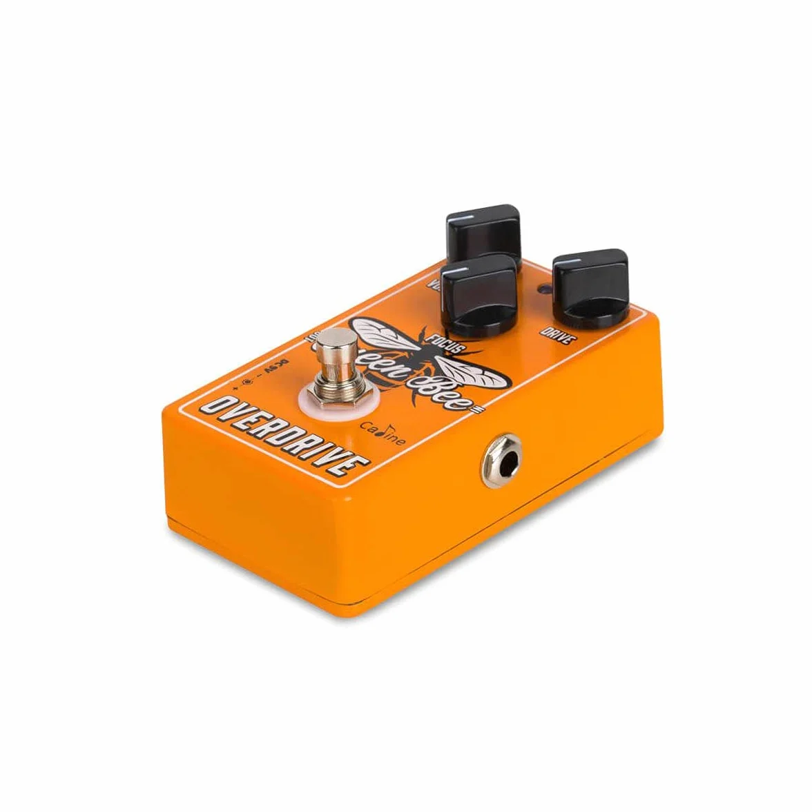 Caline CP-503 - Queen Bee Overdrive Pedale