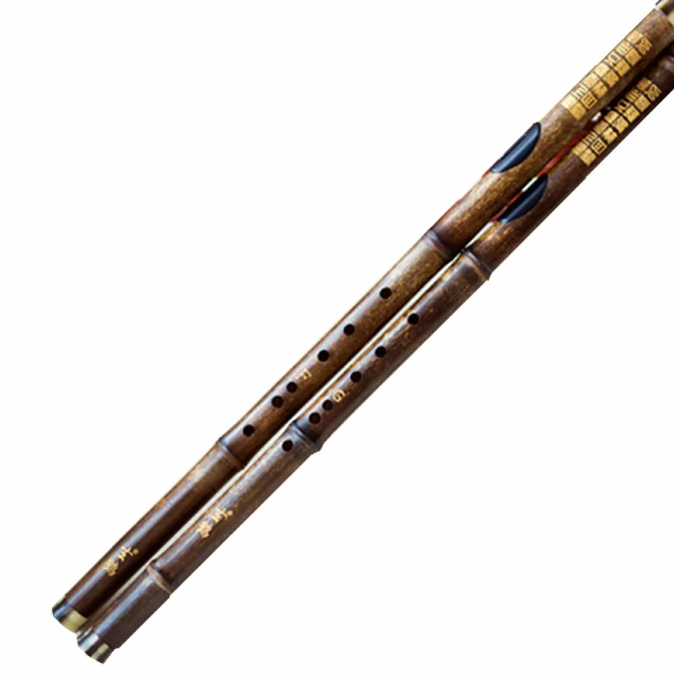 TsoLay Flauto principiante Flauto Flauto di bambù Viola Bawu Trasversale Bawu Strumenti Musicali Flauto Professionale Chiave F/G Flauto per Principianti Strumento Musicale Strumento Musicale