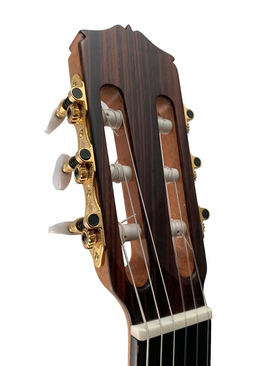 Chitarra Mod. Speciale Fenicottero Marcelo Barbiere (cedro/sicomoro) + custodia styro foam
