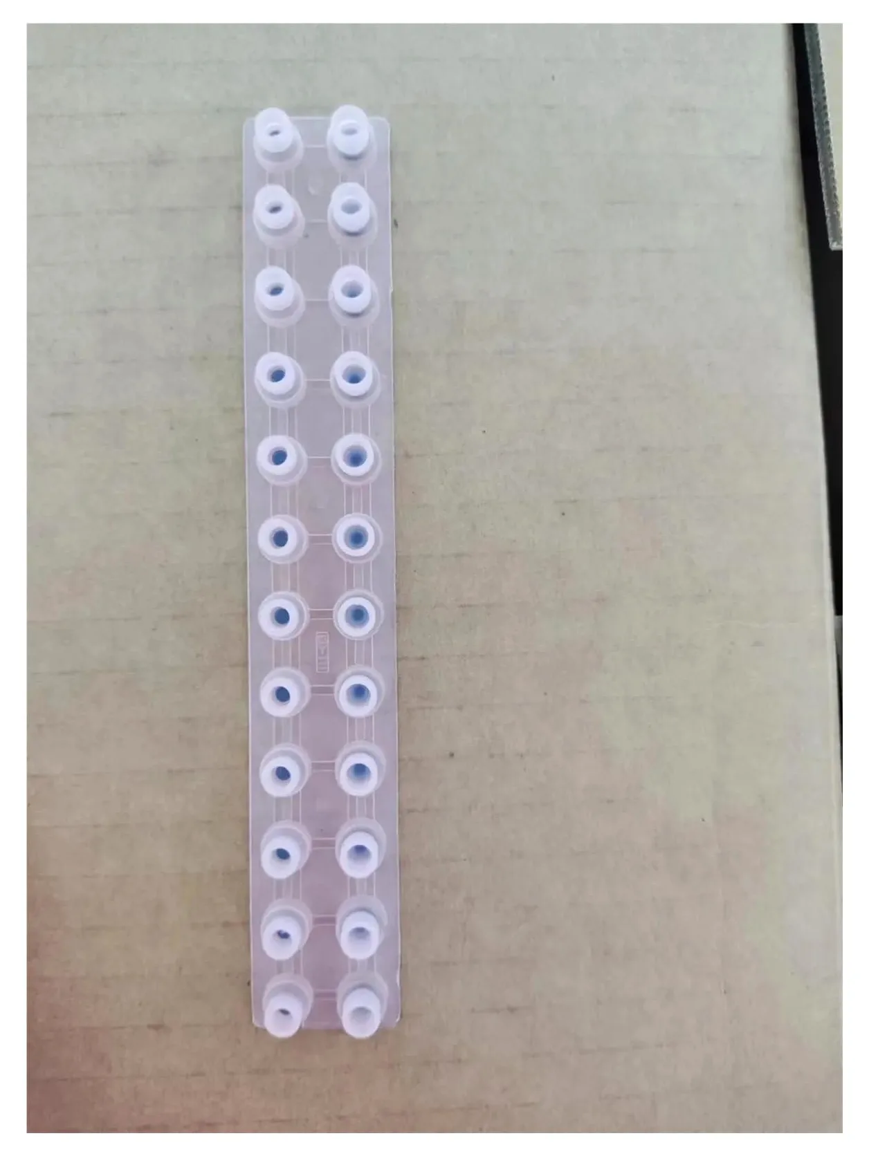 Striscia di gomma conduttiva, compatibile for CASIO | WK3000 WK3100 WK3300 WK3500 WK3800