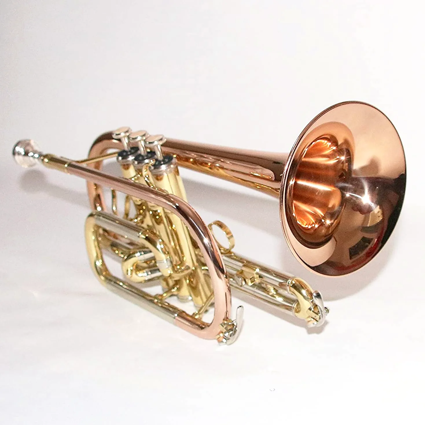 Eastman® ECR-501R Cornetta in Sib