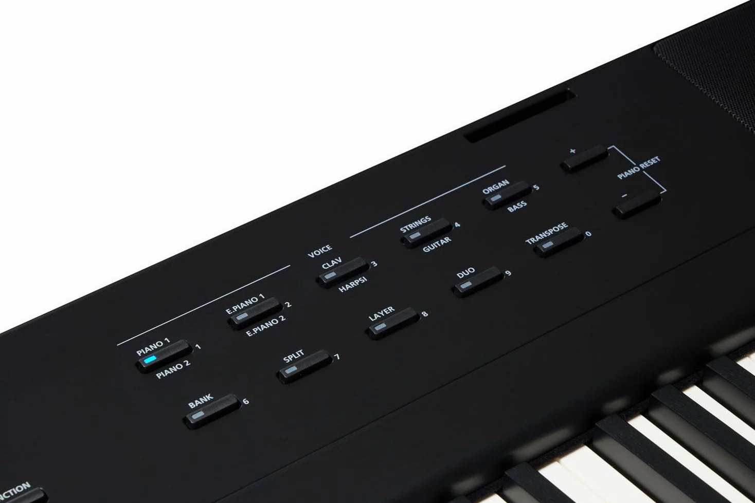 Kurzweil KAE1-LB Stage Piano Keyboard Nero 88 tasti + supporto keepdrum tastiera