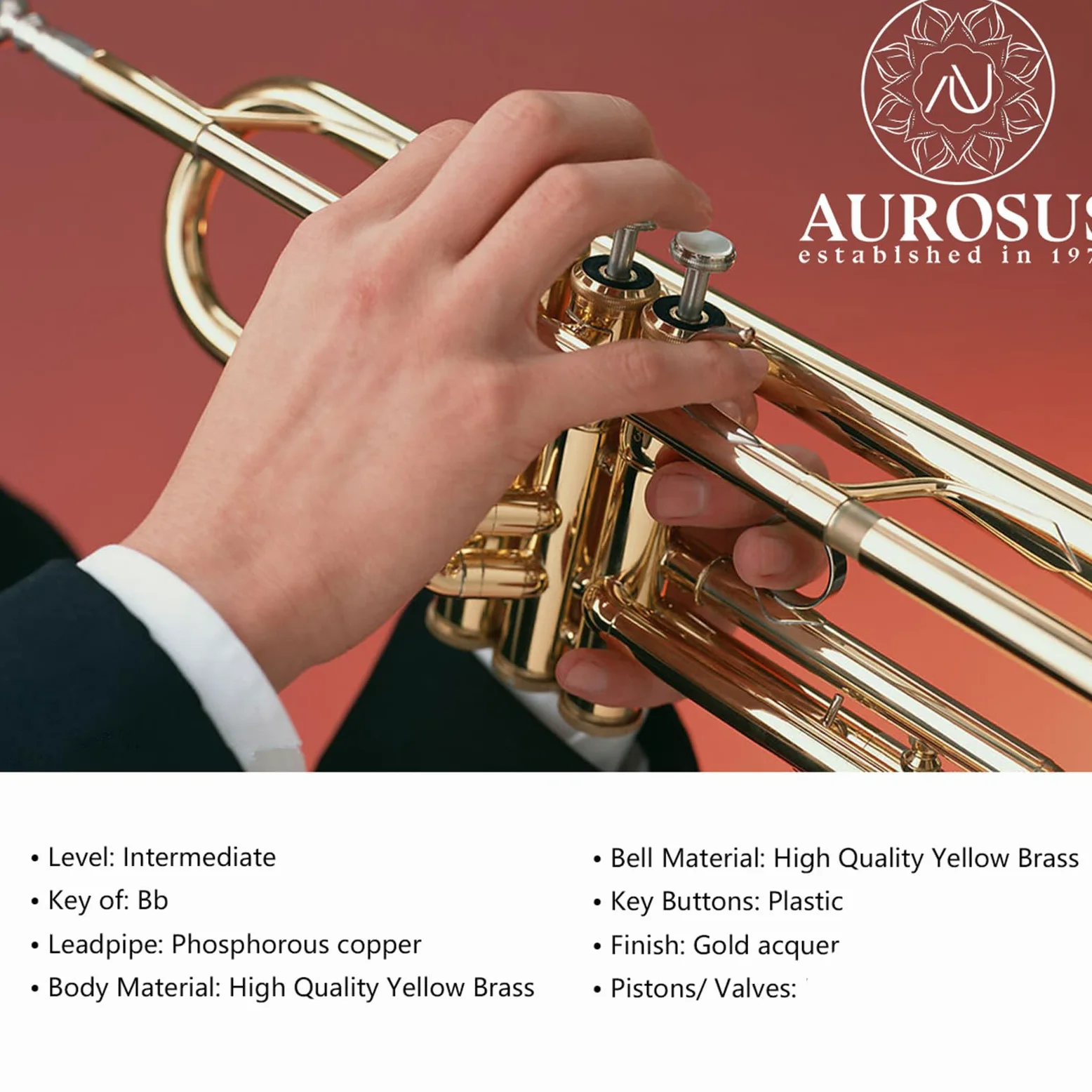 6331 Bb standard tromba leadpipe fosforo coppe per principianti o studenti avanzati caso panno guanti ottone strumenti musicali (ottone oro 6331H)