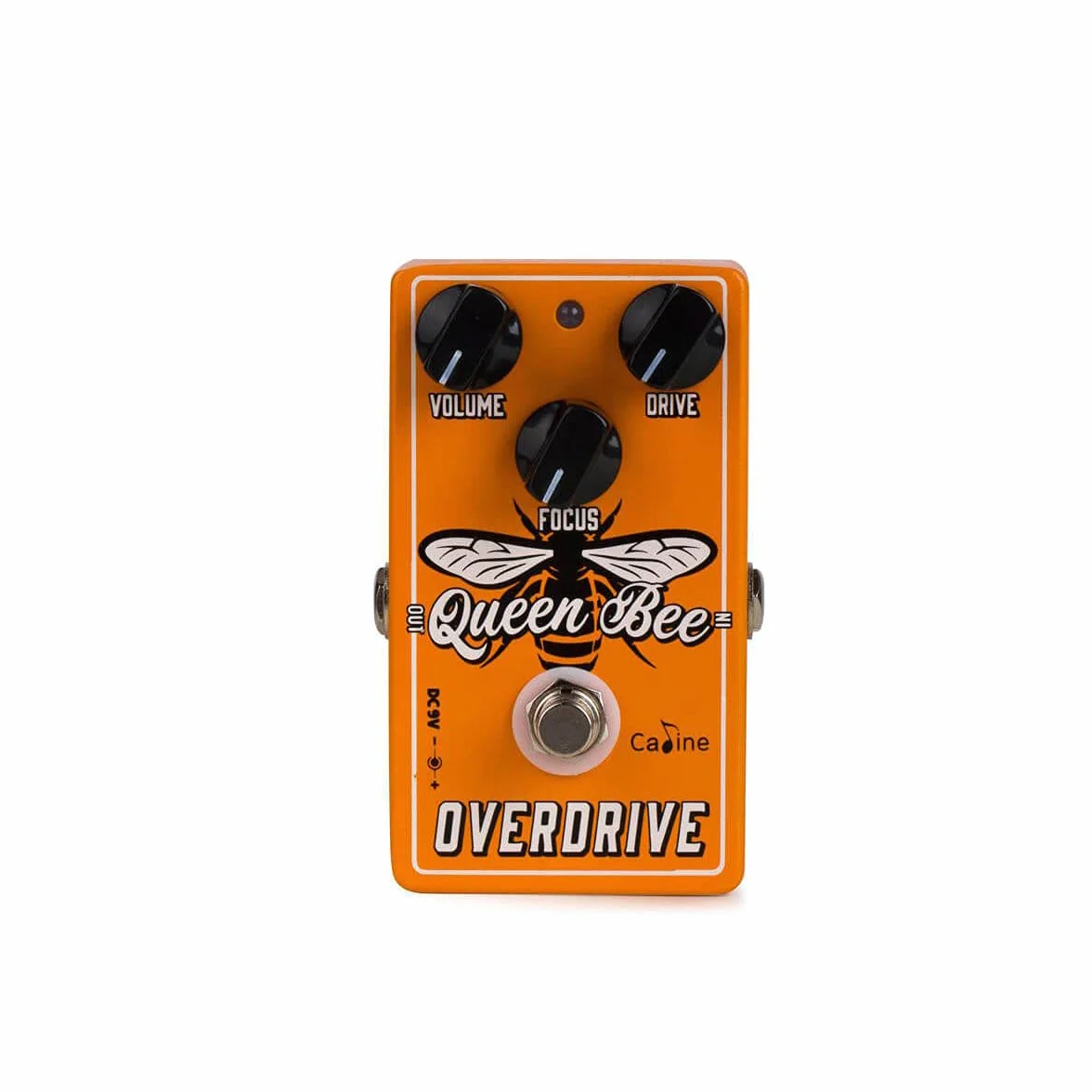Caline CP-503 - Queen Bee Overdrive Pedale