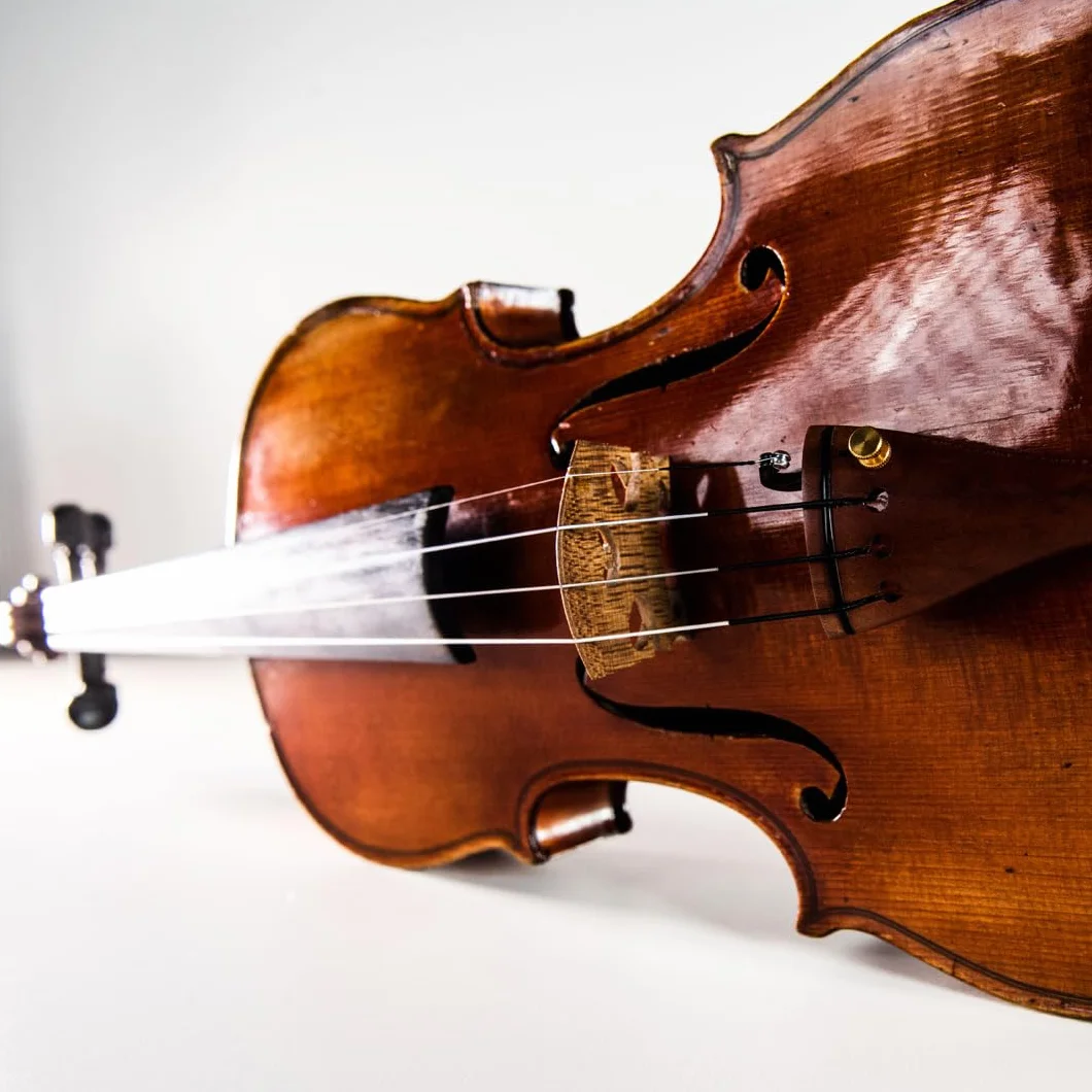 Thomastik-Infeld, Corde per violino Dominant Pro, Set DP100