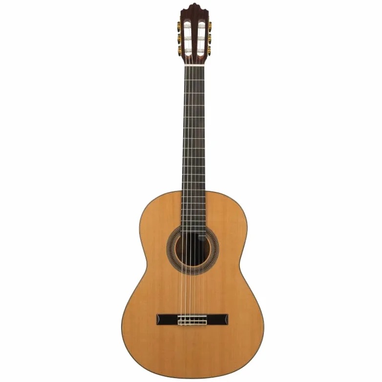 Prodipe 6 corde per chitarra classica (Soloist 900)