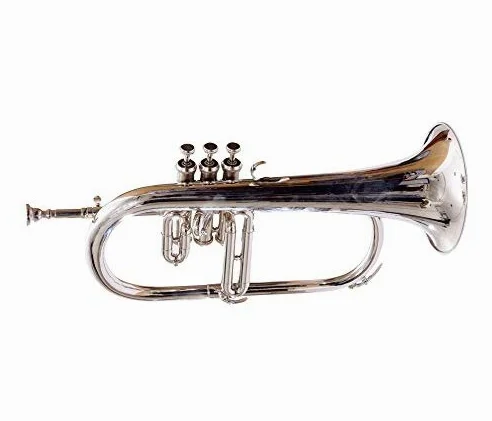 Corno flugel Bb piatto in nichel argentato con custodia rigida + bocchino RDS123