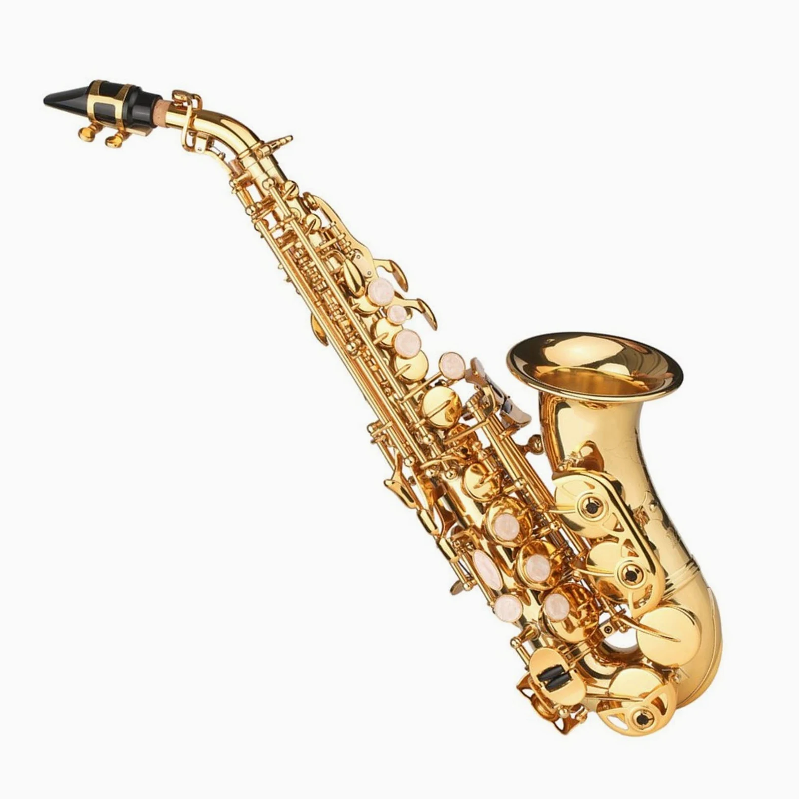 Sassofono nero vernice E-Flat Sax compatibile con principianti studenti intermedi Ottone Sassofono contralto Mib con bocchino, custodia per il trasporto, panno di pulizia, spazzola cinghie per