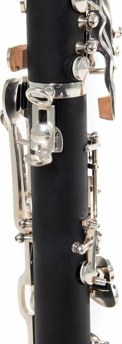 clarinetto in B, sistema tedesco, valigetta di lusso con zaino, bocchino, supporto per clarinetto, servizio di manutenzione
