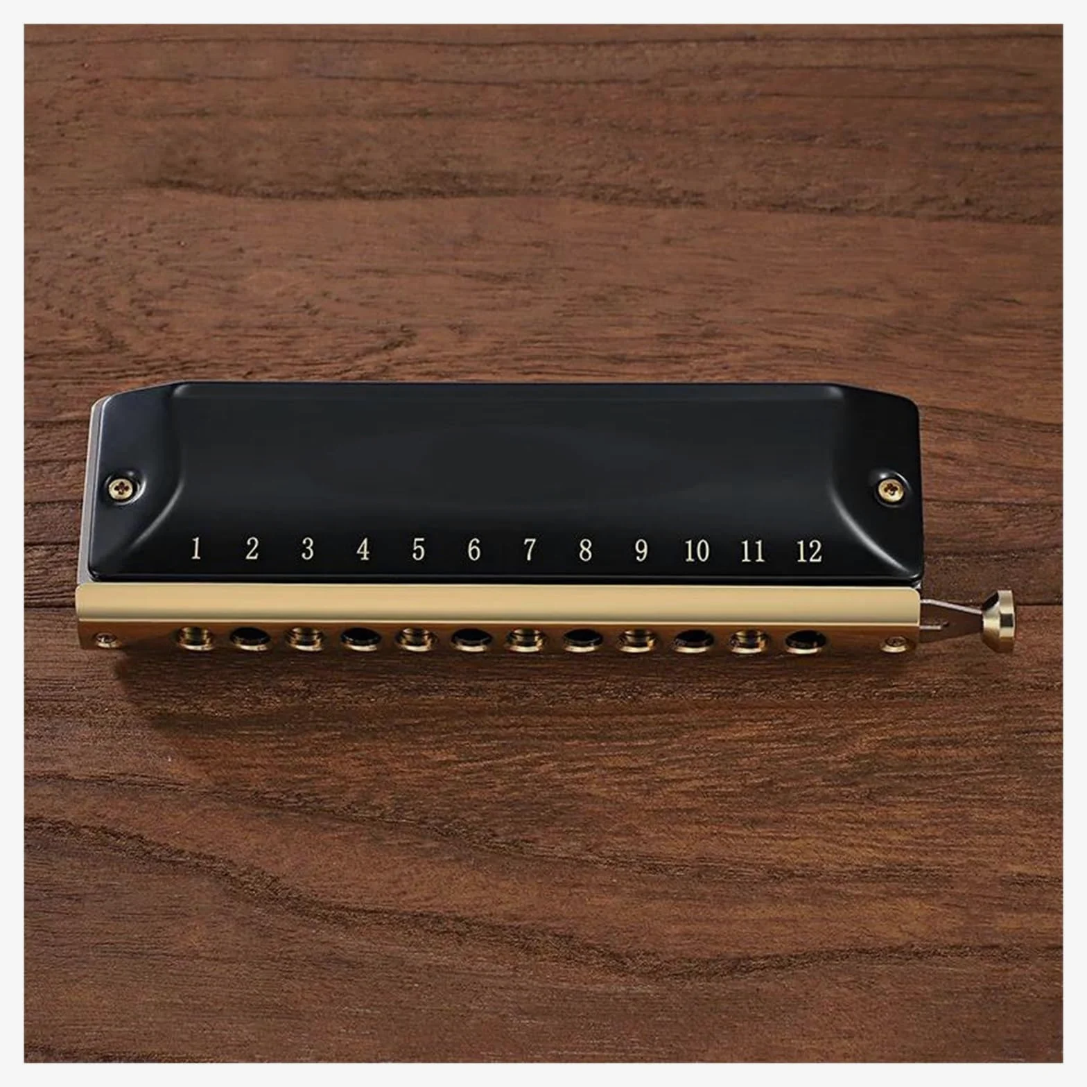 Armonica Cromatica A 12/16 Fori Armonica Di Livello Professionale Fisarmonica Per Strumenti Musicali Di Fascia Alta armonica a bocca professionale (Color : 12 Holes)