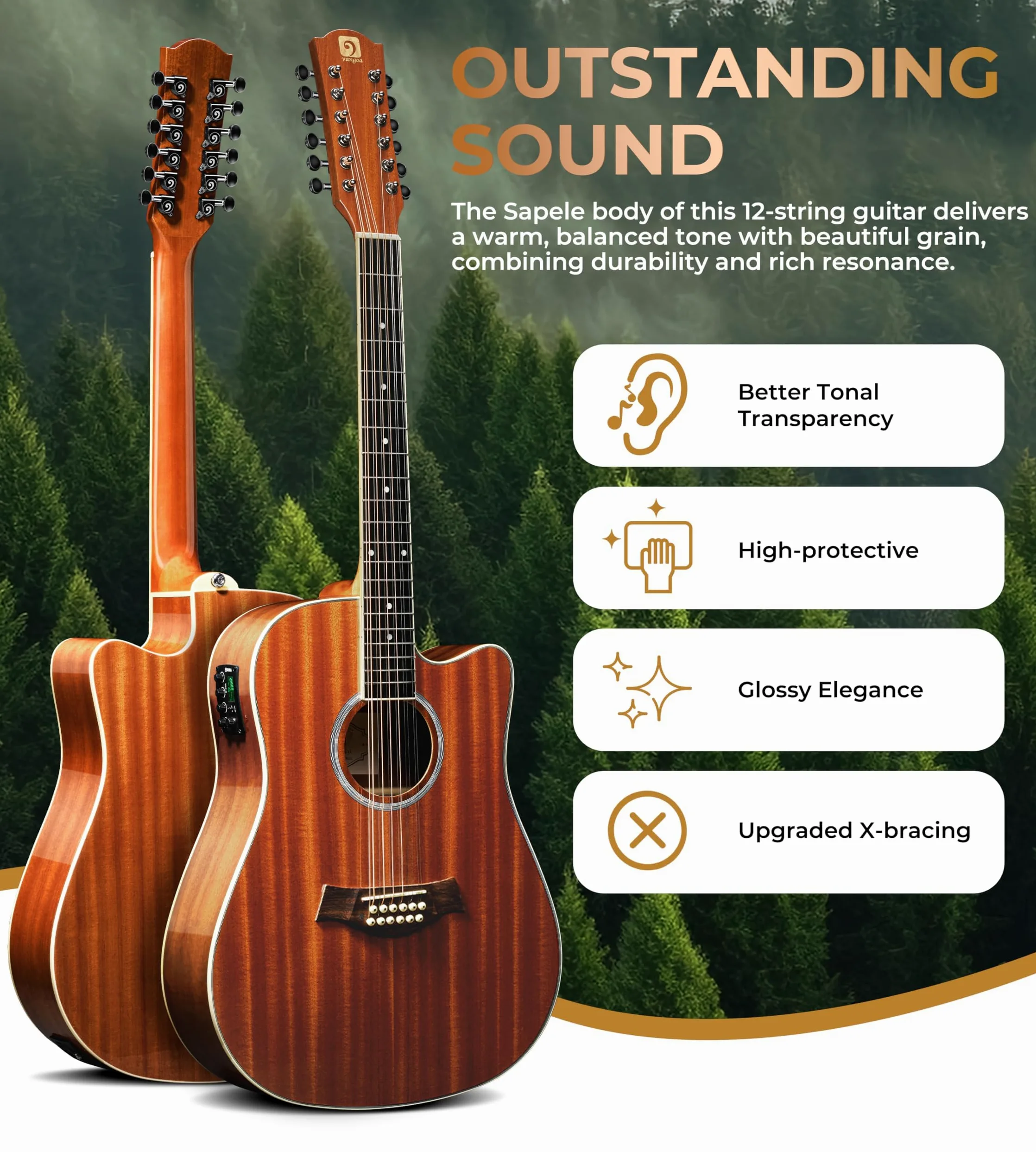 Vangoa Marrone Chitarra Acustica Elettrica a 12 Corde, Corpo in Sapele, Kit di Base Aggiornato