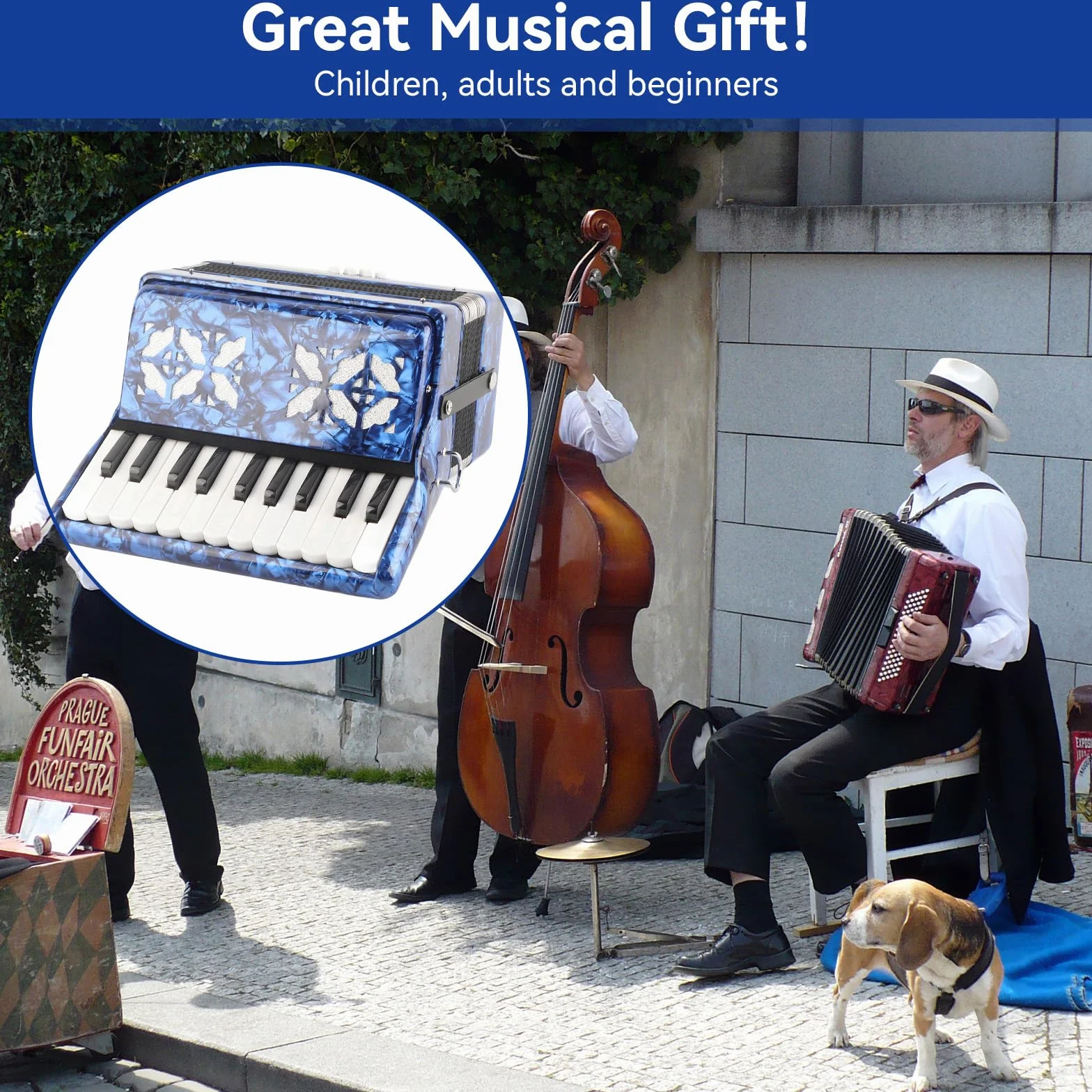 Fisarmonica Professionale 22 Tasti 8 Bassi, Musicale Portatile(blu) | Con Tastiera in Legno e Tracolla Regolabile, Inclusi Guanti e Panno per Pulire per Principianti e Musicisti Adulti