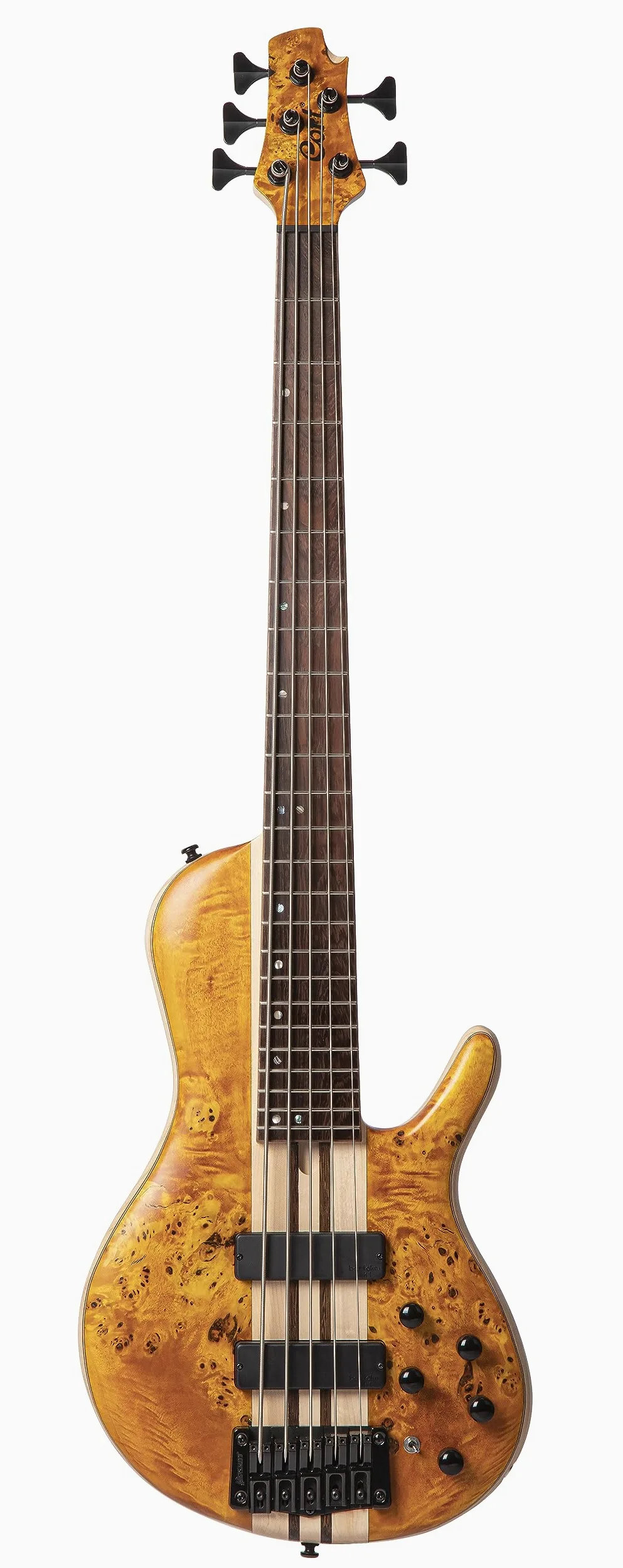 CORT A5 Plus SC (Regular Scale)