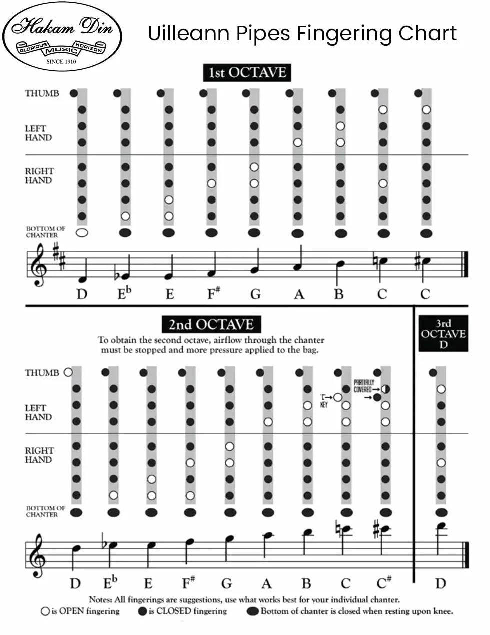 Irish Uilleann Pipes Practice Set in D Studente Cornamusa per Principianti, Starter Set di Cornamuse Irlanda con un 3 Chiave Chanter, Reed e un Libretto Guida per Principianti