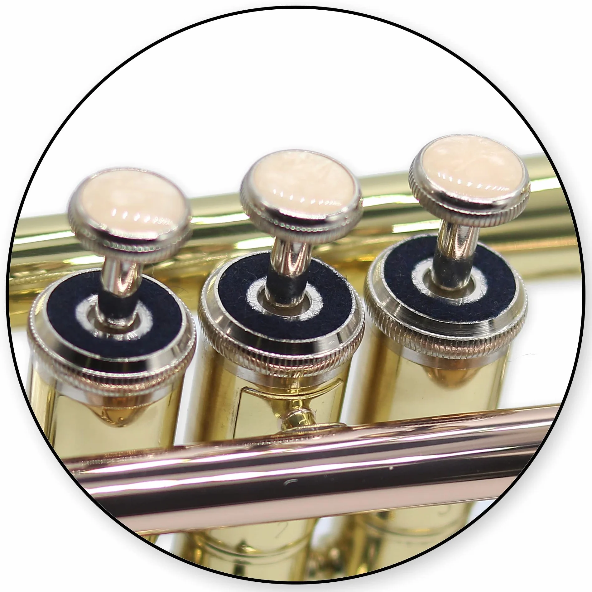 Tromba in Sib TTR-171 in ottone - completa con bocchino, custodia, accessori + metodo per tromba “Trumpet Basics”