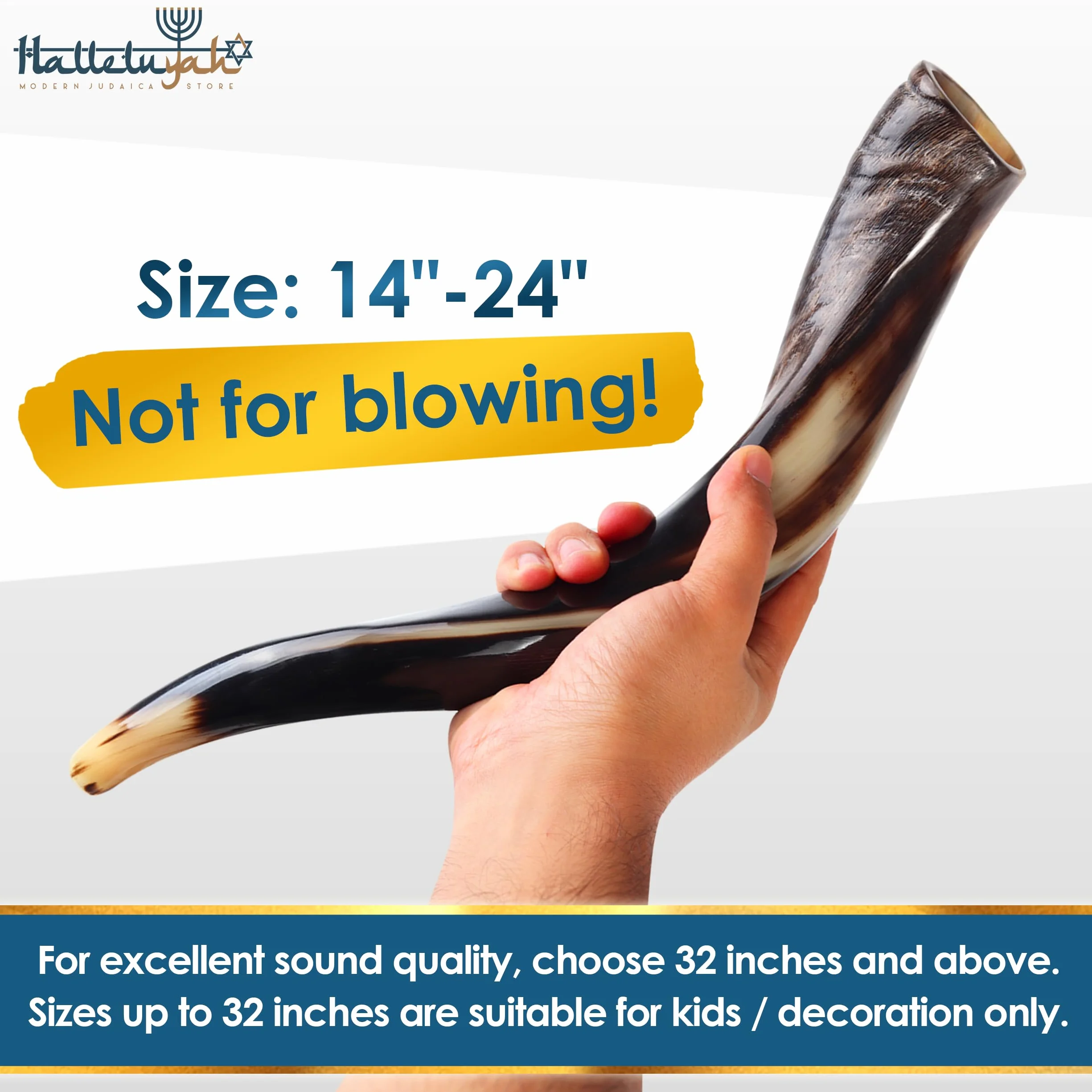 HalleluYAH Kosher Kudu Shofar semi-lucidato originale | Da Israele