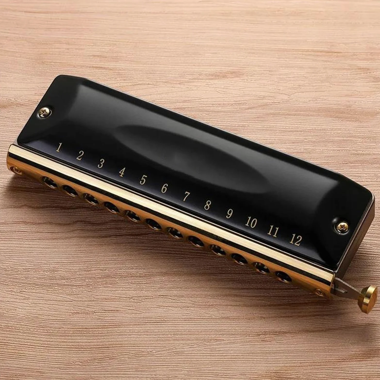 Armonica Cromatica A 12/16 Fori Strumento Musicale Professionale di qualità per Le Prestazioni, Fisarmonica(12 Hole)