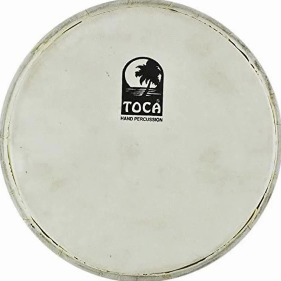 Percussionhead Doumbek 9" Capra naturale TP-FDMK9