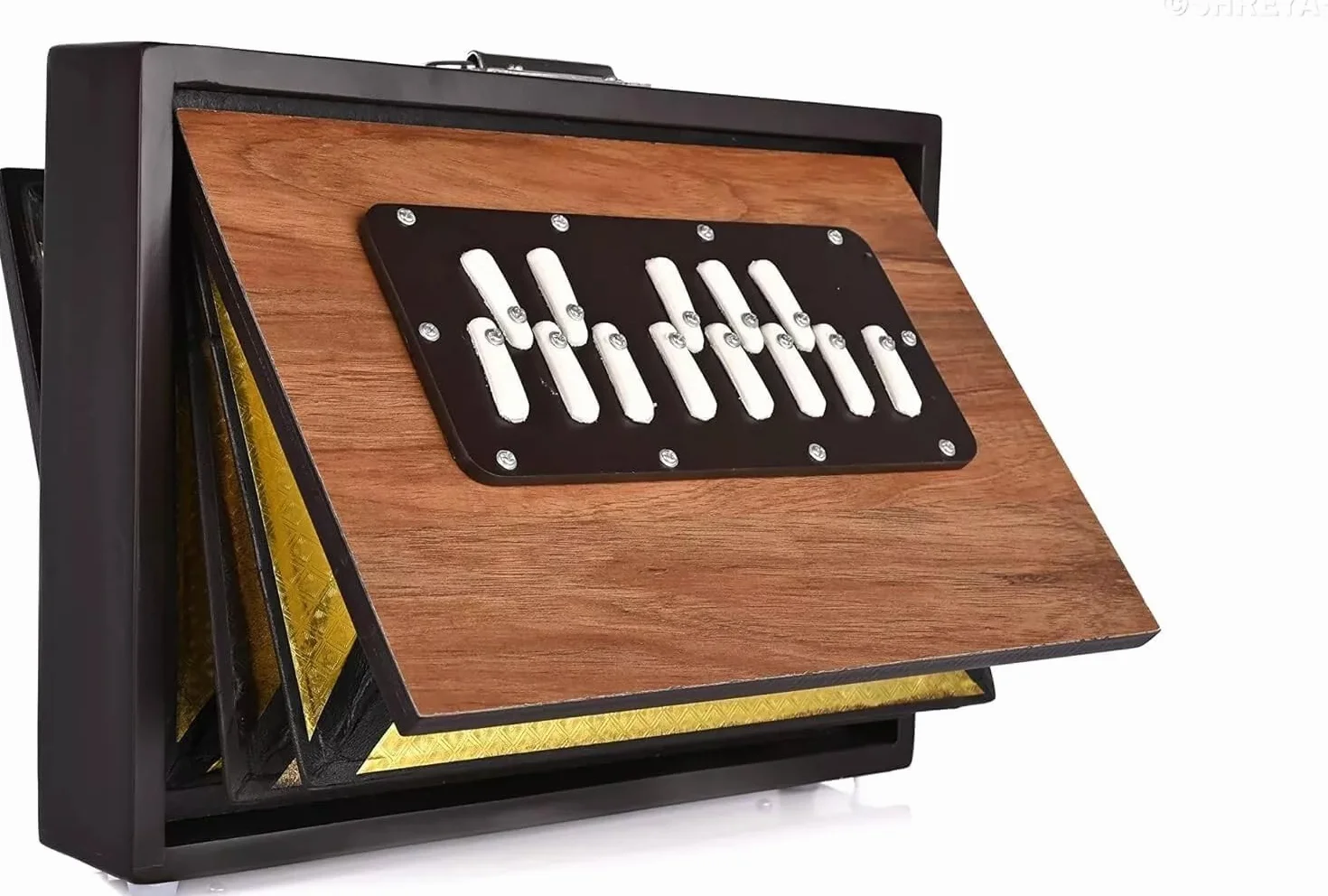 Shruti Box - Strumento musicale Shruti da 30,5 cm, in puro legno di teak, con borsa per il trasporto, scatola Shruti 432 Hz