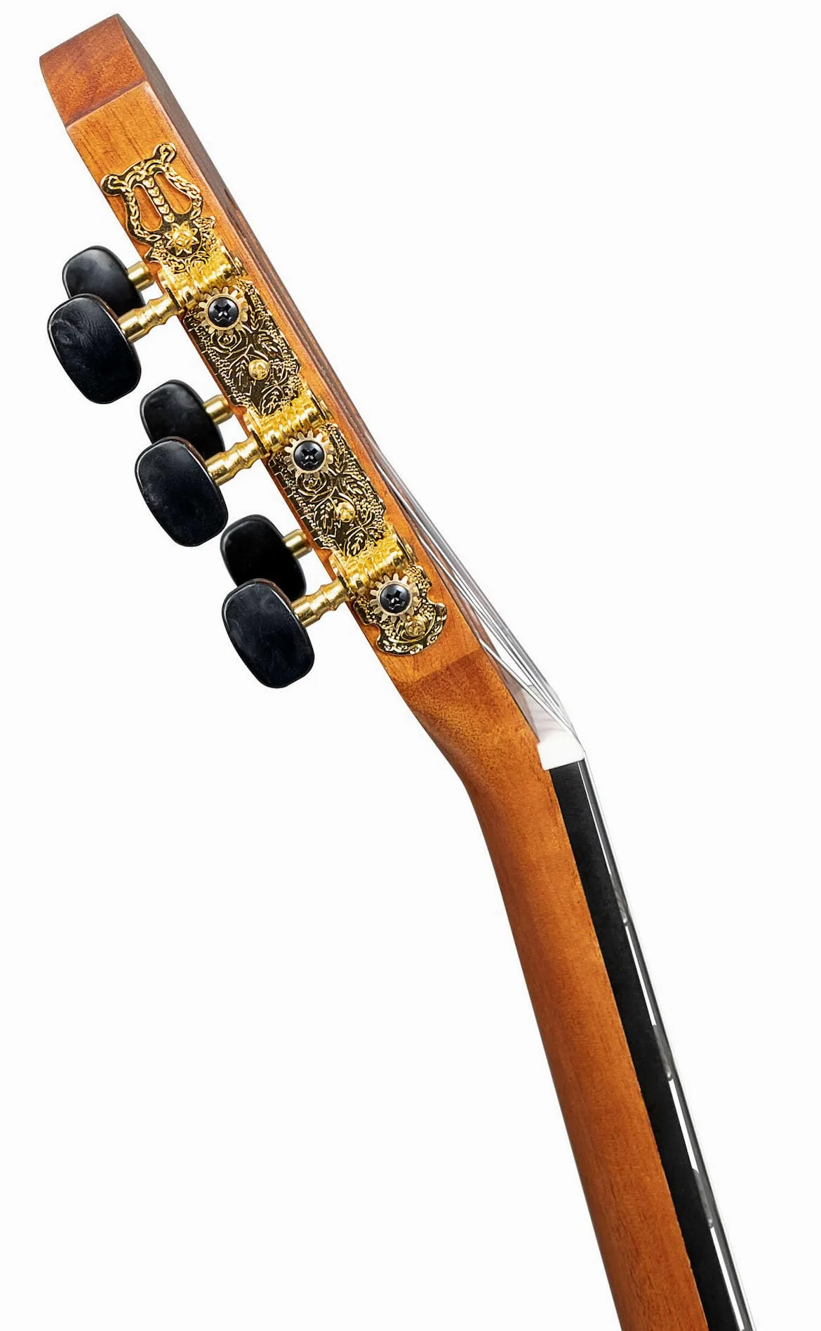 Stage Series Classic Guitar 3/4 (incl. borsa imbottita, 3 picchi)