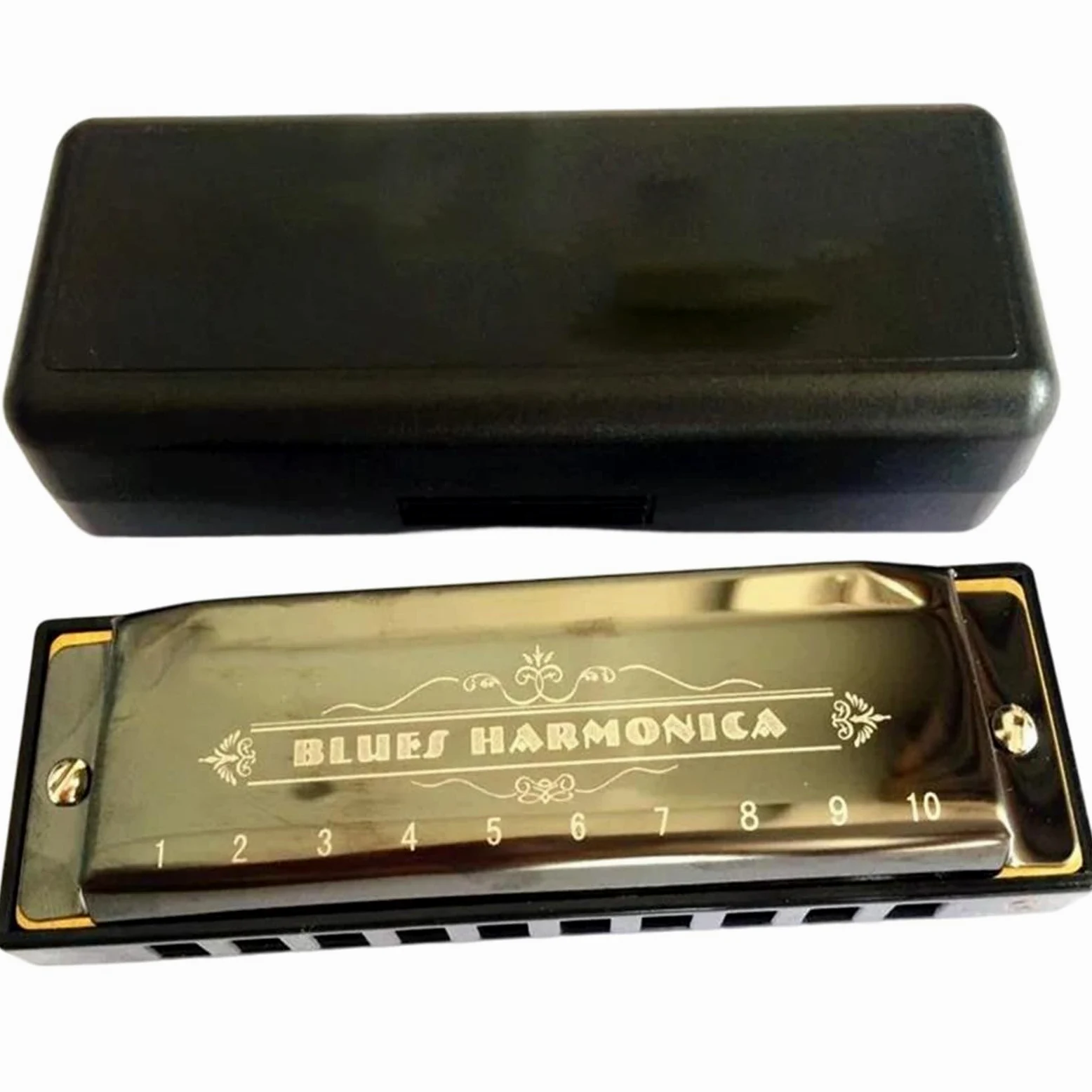 Armonica Armonica A Bocca 10 Fori Arpa Blues Diatonica Strumento A Fiato