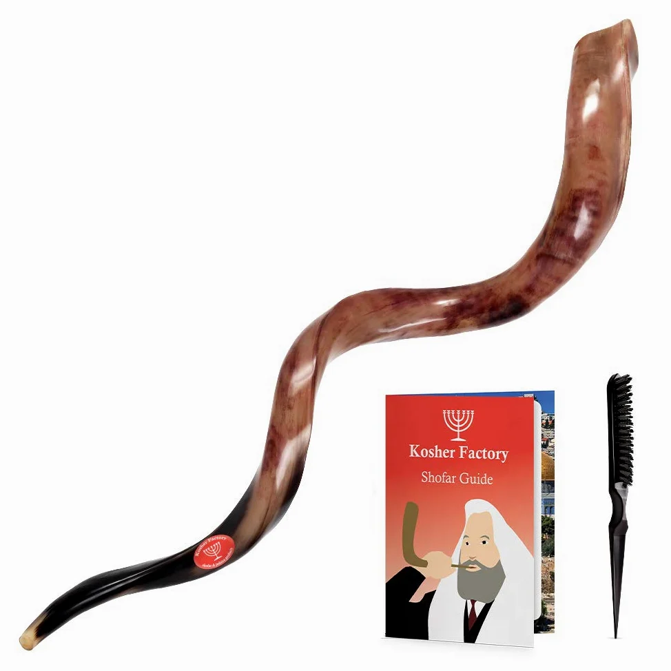 88,90 cm (35")-93,98 cm (37") Yemenite Shofar Kosher alta qualità & smalto borsa omaggio