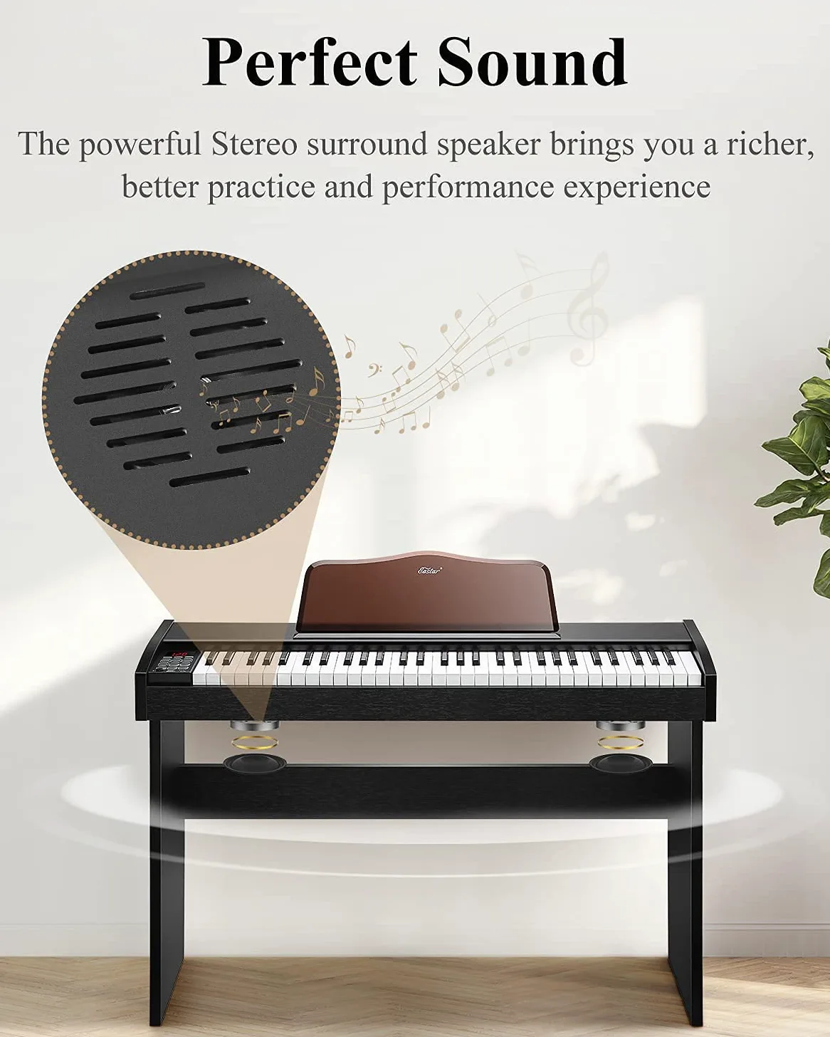 Eastar EK-10S Tastiera Musicale Pianoforte, 61 Tasti Dimensioni Standard Elettronica Pianola Verticale per i Principianti con Pedale Sustain e Libro Musicale Stand, Essenziale Regalo