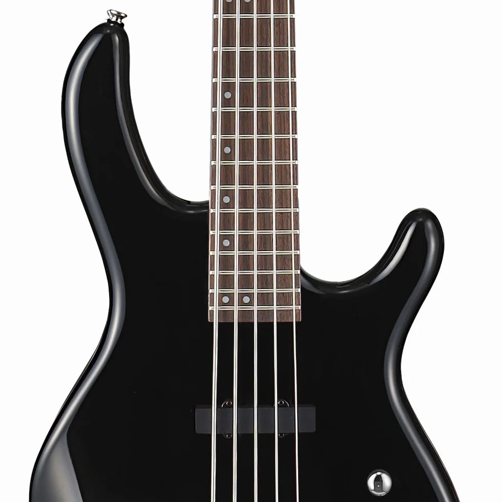 Cort Action Bass V Plus 5-String Electric Bass Guitar, Black