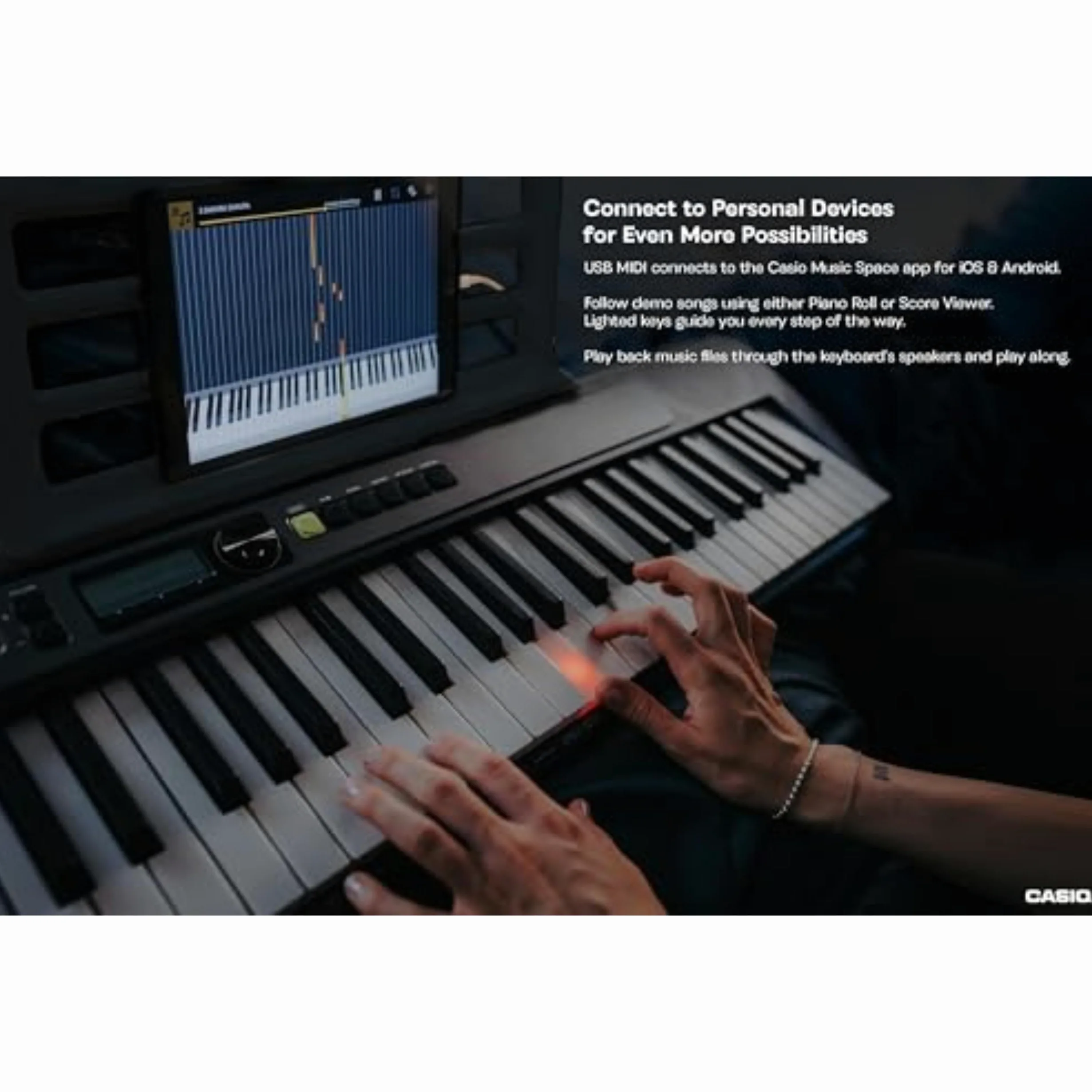 Casio, tastiera portatile a 61 tasti con USB (LK-S250)