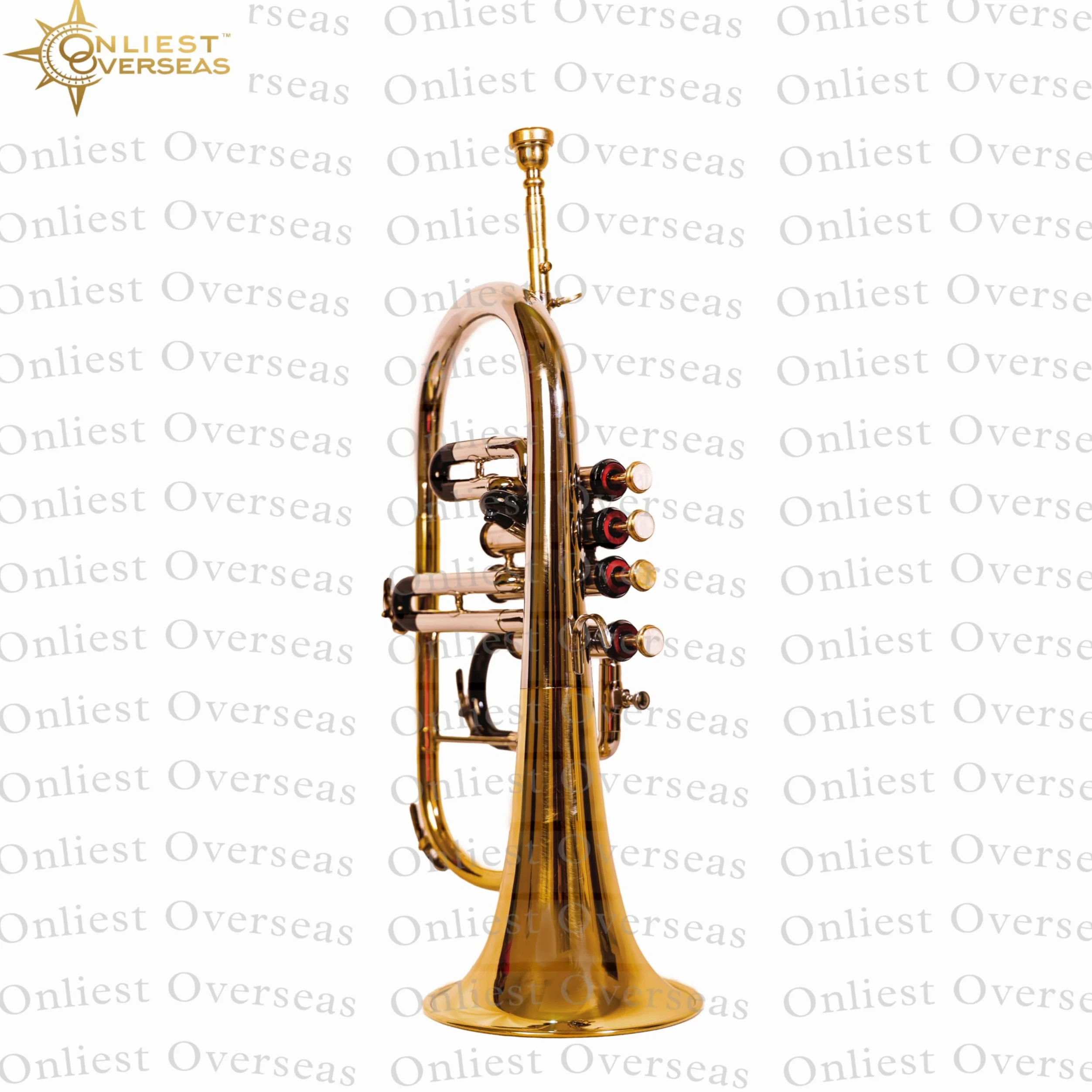 Flugel Horn 4 valvole in ottone strumento con tono caldo, valvole lisce, per musicisti e studenti.