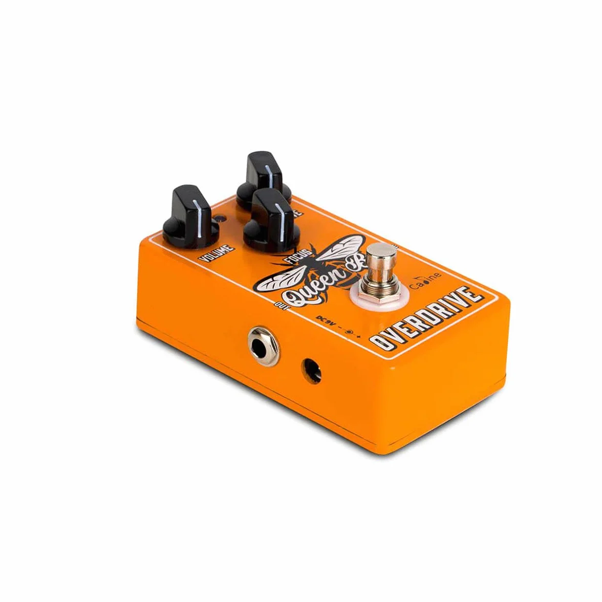 Caline CP-503 - Queen Bee Overdrive Pedale