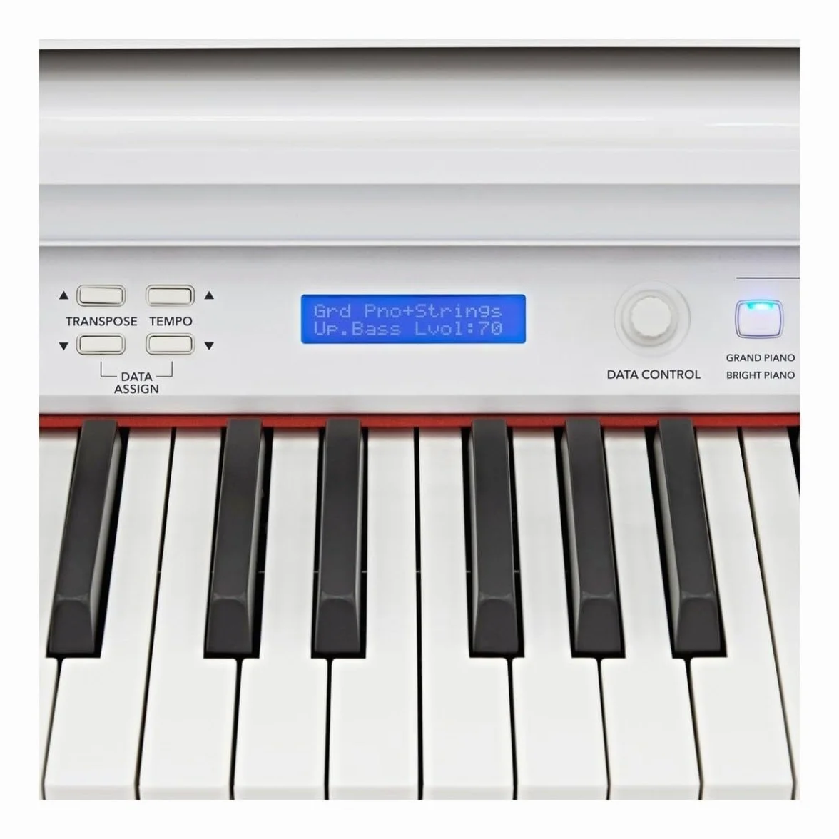 GDP-100 Pianoforte a Coda per Bambini con Pedali e Panca | 88 tasti pesati sensibili al tocco, funzioni split/layer ed effetti, 55 brani di accompagnamento inclusi