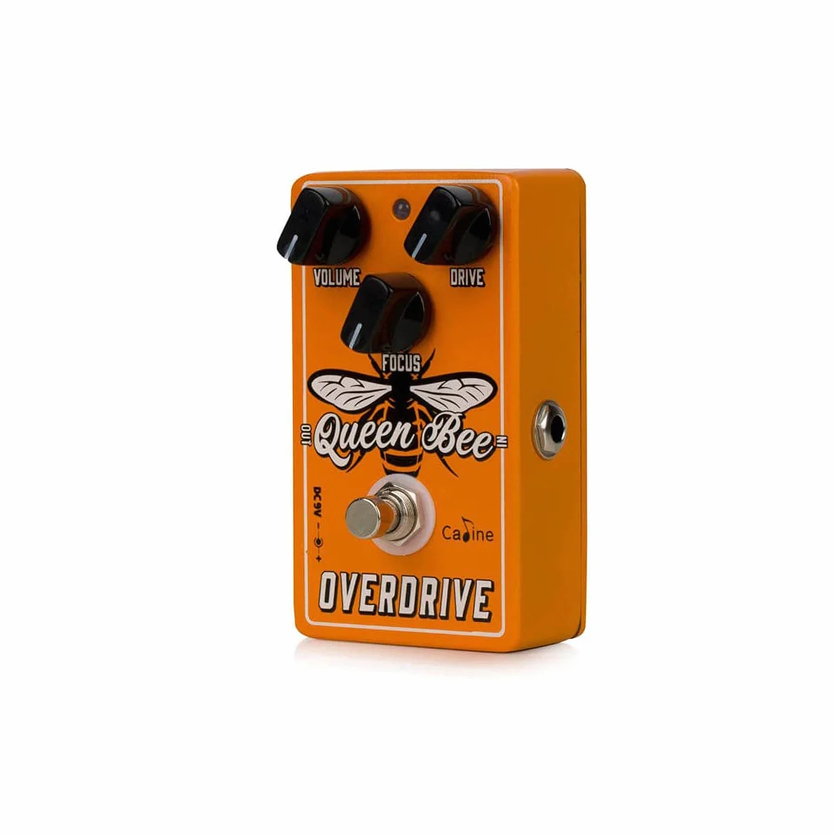 Caline CP-503 - Queen Bee Overdrive Pedale