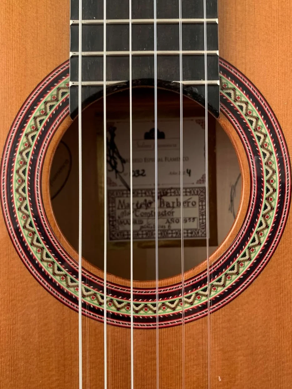 Chitarra Mod. Speciale Fenicottero Marcelo Barbiere (cedro/sicomoro) + custodia styro foam