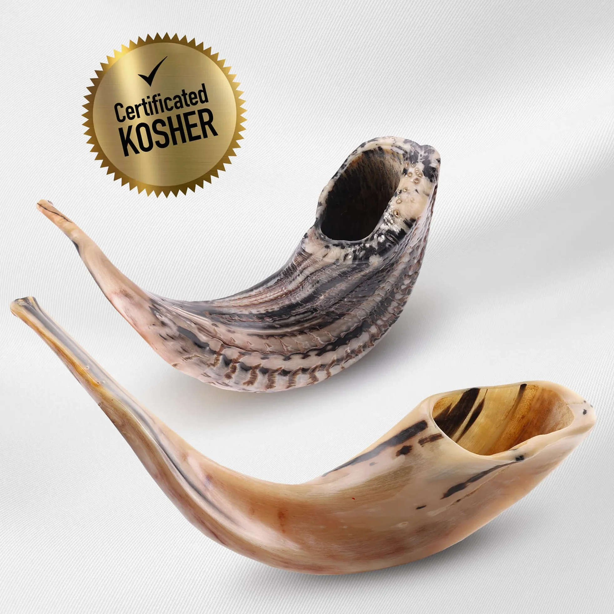 World of Judaica, corno daturale di ariete Shofar con parte alta ricurva e scanalature