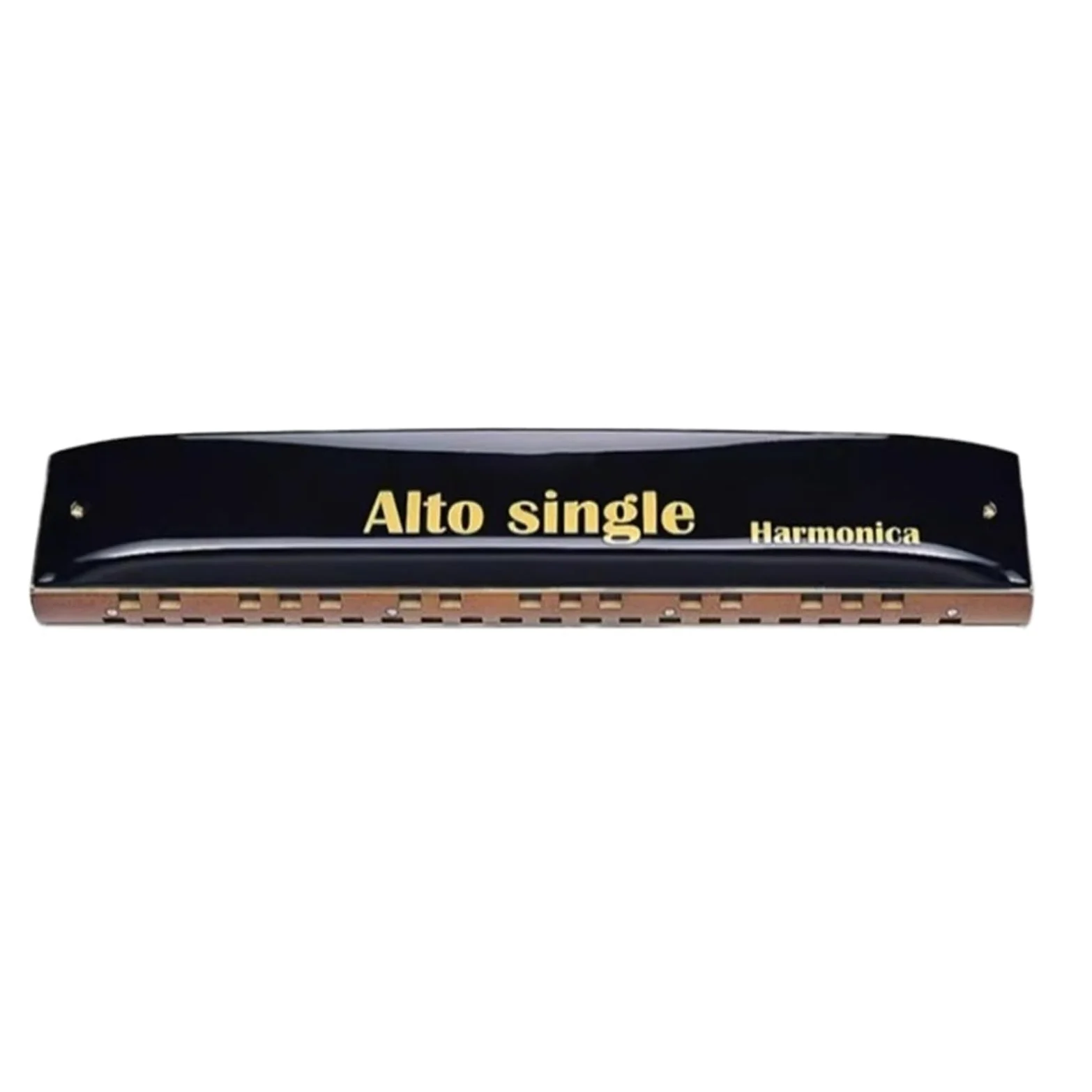 Armonica a bocca professionale per performance di ensemble di armoniche
