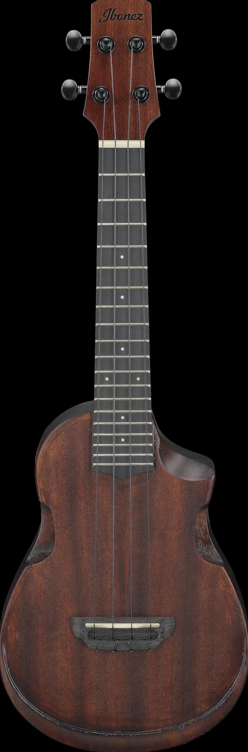 Ibanez AUC14-OVL Concert Ukulele - Ukulele concerto