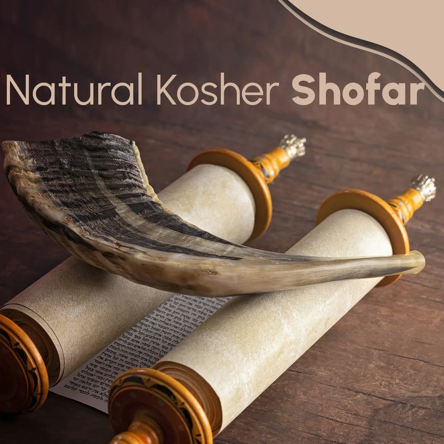 Shofar tradizionale da Israele, strumento musicale naturale ebraico, suono chiaro, autentico corno Shofar, bellissimo suono Shofar, corno di ariete naturale (35,6 - 40,6 cm)