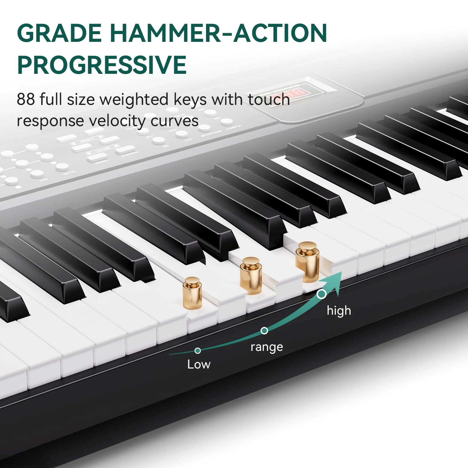 Rosen P51 tastiera pesata full size 88 tasti per principianti pianoforte digitale, pianoforte elettrico portatile con pedale di sostegno e alimentazione elettrica, nero