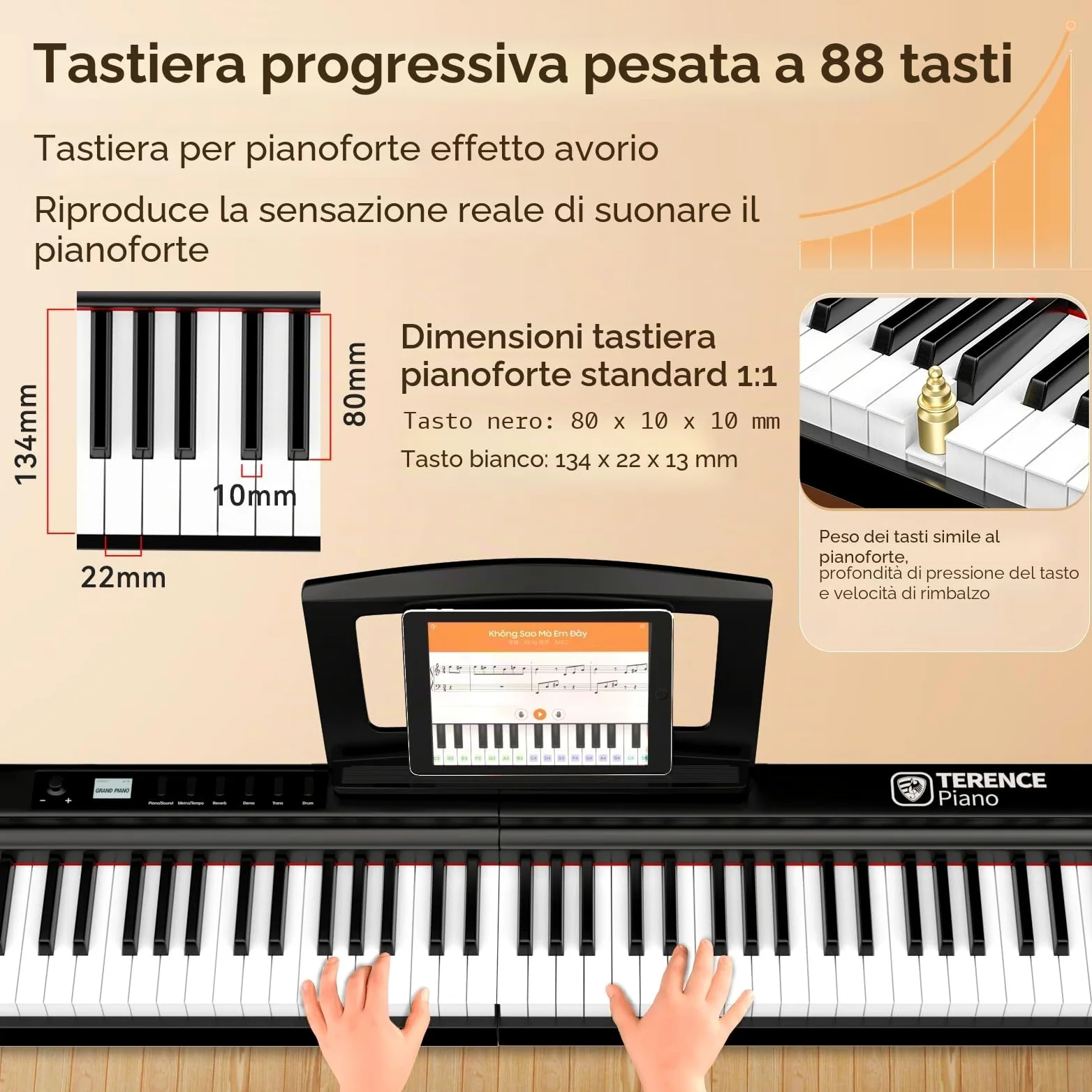 TERENCE Pieghevole Pianoforte Digitale 88 Tasti pesati con batteria da 2000 mAh Altoparlanti 2x25W Bluetooth e interfaccia MIDI supporto per spartiti Borsa adesiva Cavo audio con Pedale di sostegno