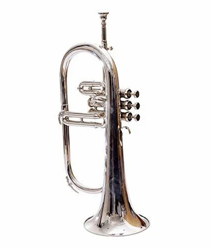 Corno flugel Bb piatto in nichel argentato con custodia rigida + bocchino RDS123