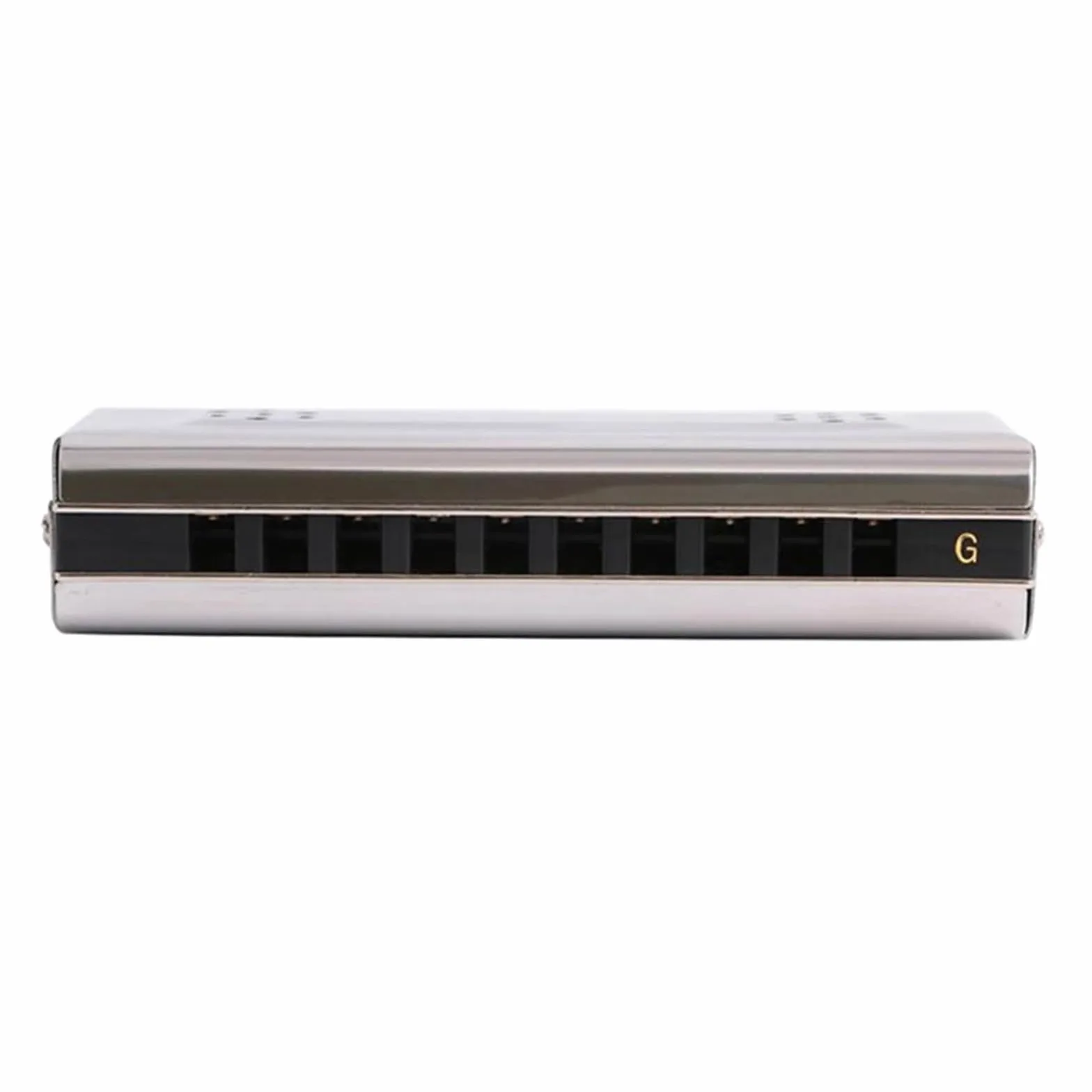 Armonica A Bocca A Doppia Faccia A 10 Fori 2 In 1 Diatonica In Do E Sol Per Adulti Blues