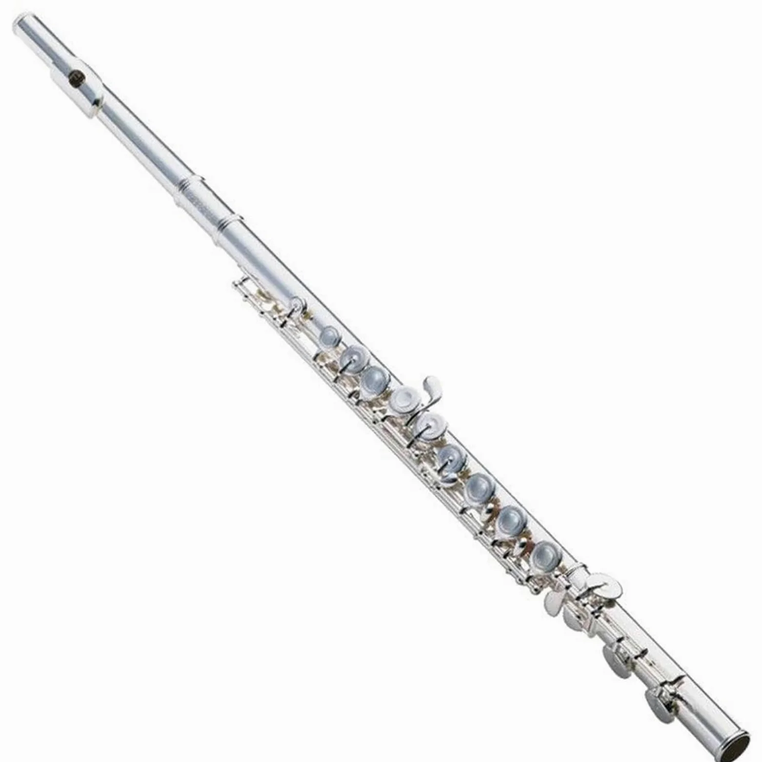 Strumento Flauto Flauto Traverso Professionale In Argento Placcato In Argento Francese A 16 Fori Con Foro Chiuso Standard In Do