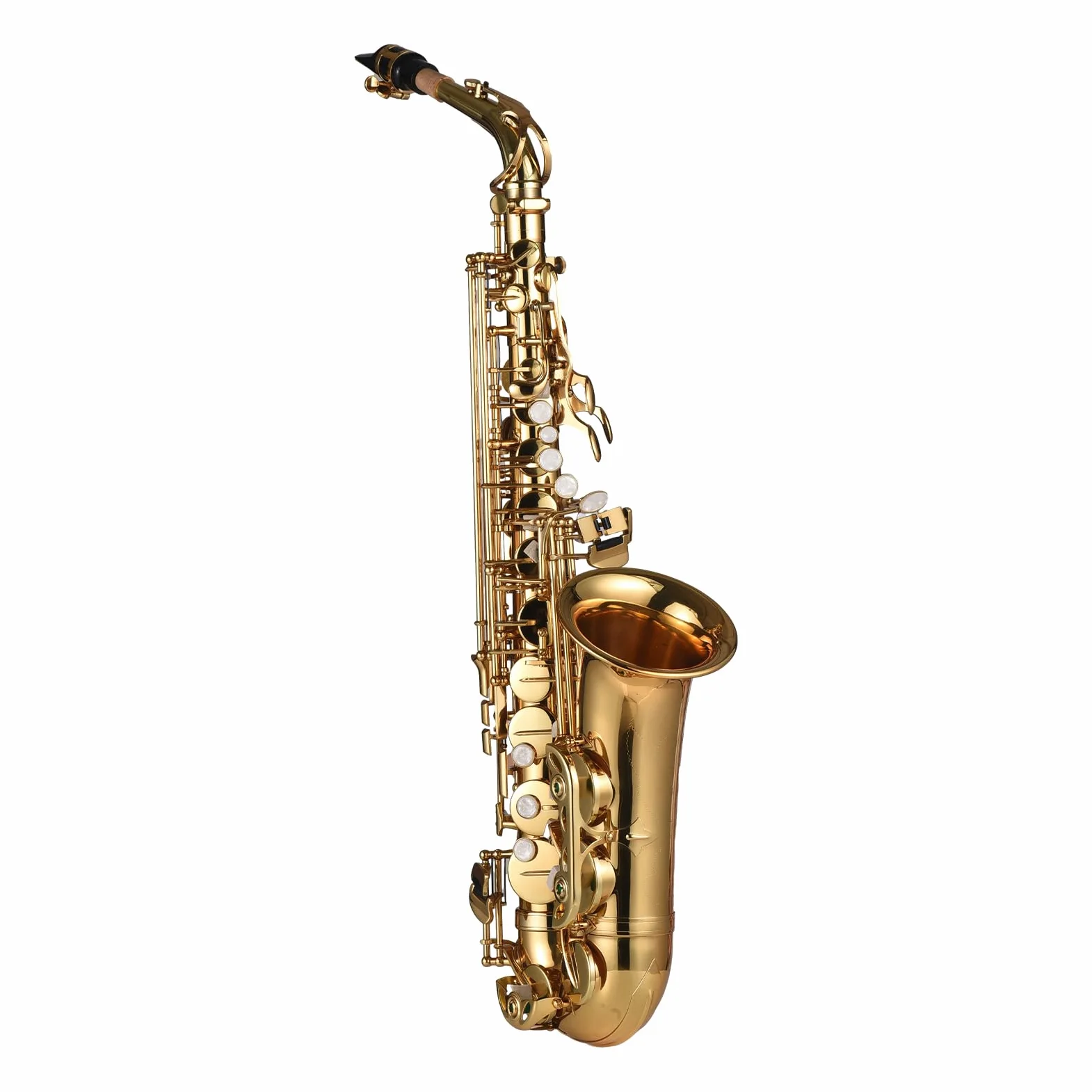Sax alto,Sassofono contralto Mib Ottone laccato Sax contralto Strumento a fiato con custodia per il trasporto Guanti Cinghie Panno e spazzola per pulizia Ance mute per sassofono Cuscinetto per