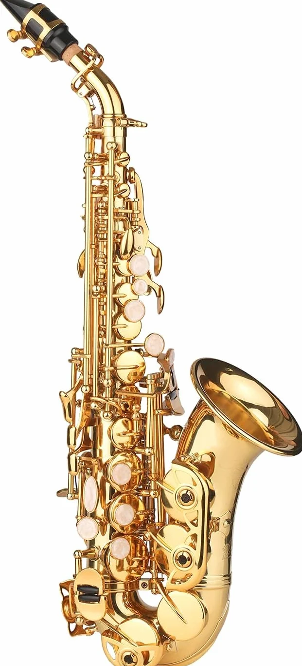 Sassofono, Sassofono Soprano in SIB Lacca Dorata Sax in Ottone con Custodia per Strumento Bocchino Tracolla Panno per Pulizia Spazzola per Musicisti Principianti