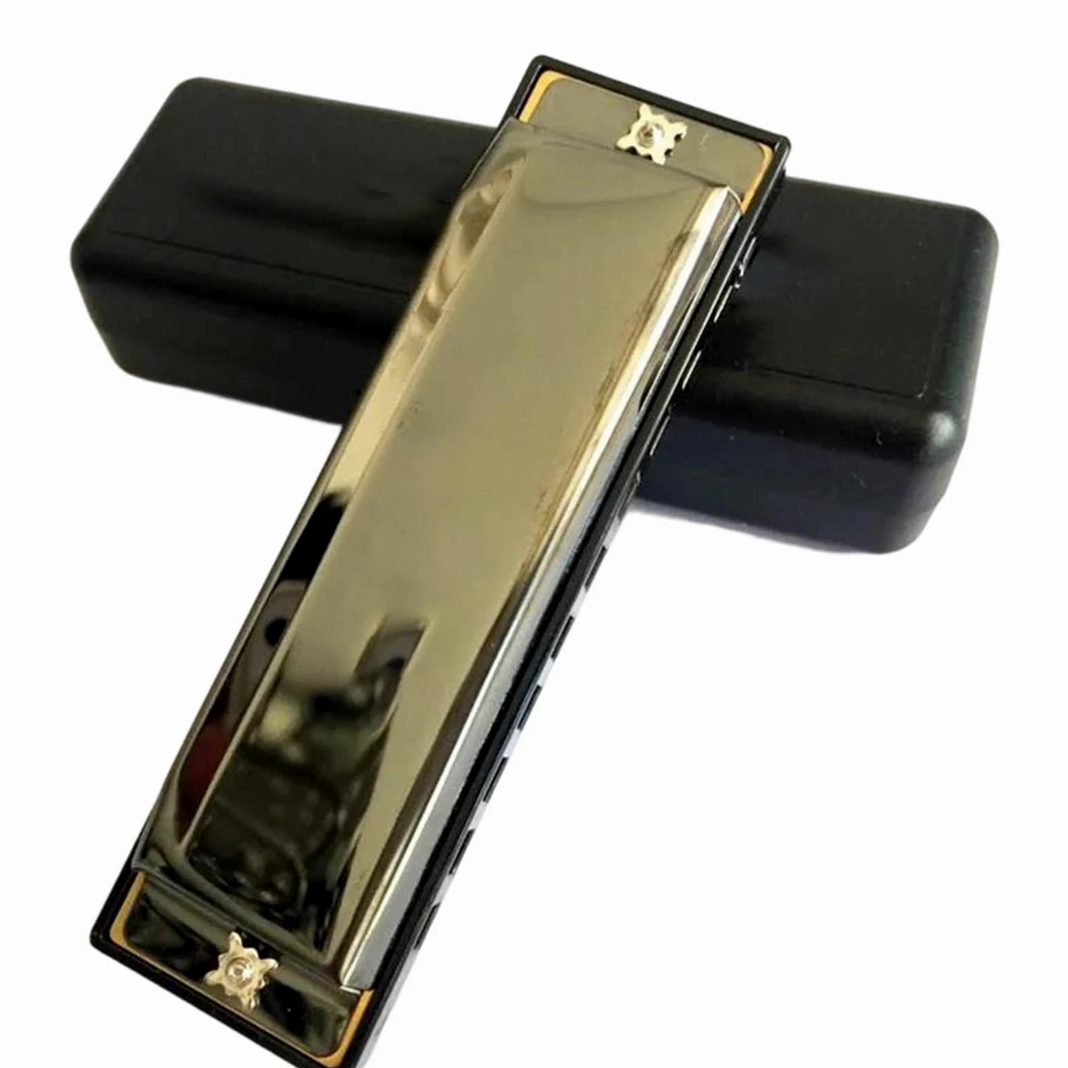 Armonica Armonica A Bocca A 10 Fori Strumento A Fiato Blues Diatonico